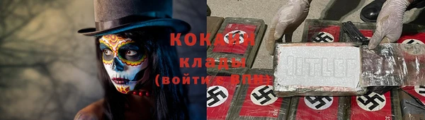 гашик Арсеньев