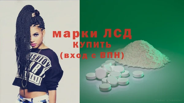 гашик Арсеньев