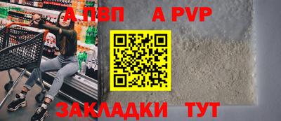 стафф Донской