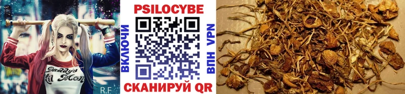 Галлюциногенные грибы прущие грибы  Мытищи 