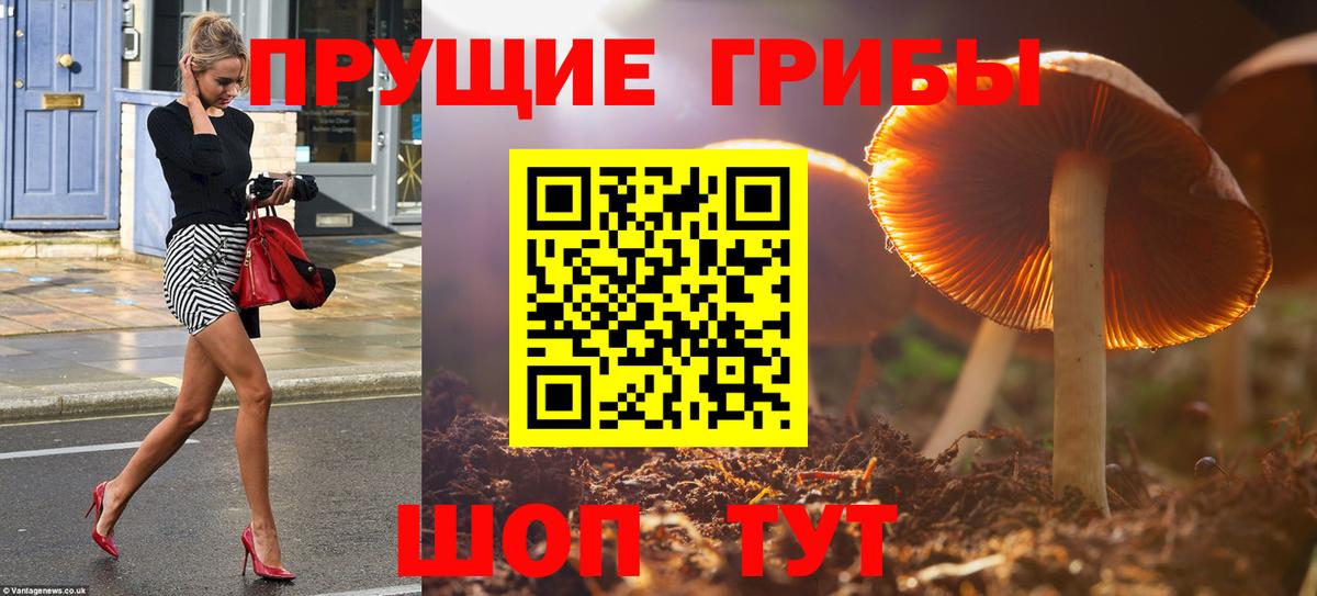 Псилоцибиновые грибы Psilocybine cubensis  Вход с VPN  купить наркотик  Мытищи 