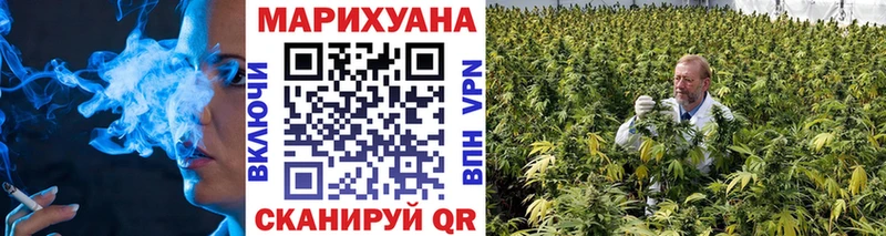 Шишки марихуана OG Kush Мытищи